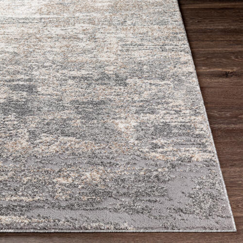 Livabliss Andorra ARD-2306 Rug