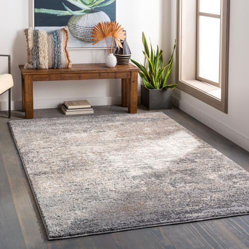 Livabliss Andorra ARD-2306 Rug