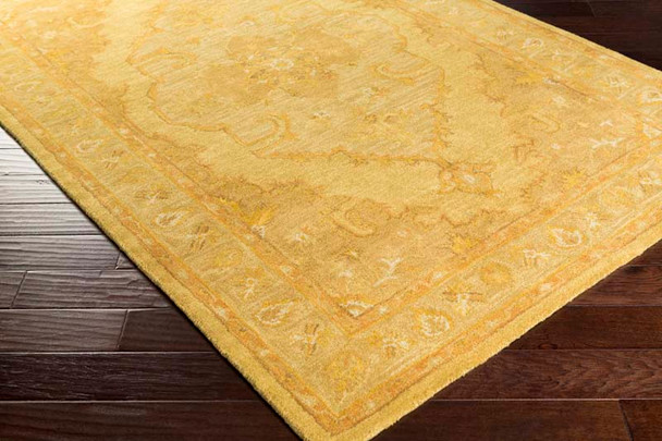 Livabliss Middleton AWHR-2059 Rug