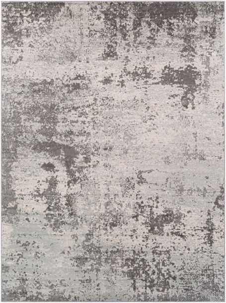 LivaBliss Chester CHE-2340 Area Rug
