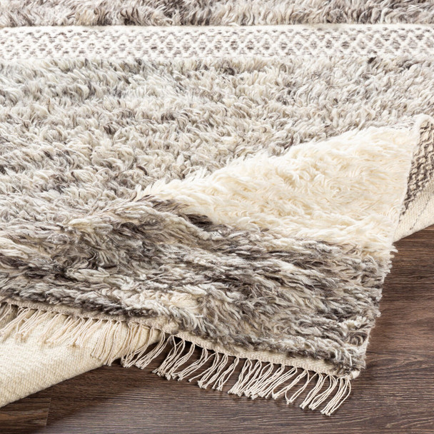 Livabliss Tulum TMU-2302 Rug