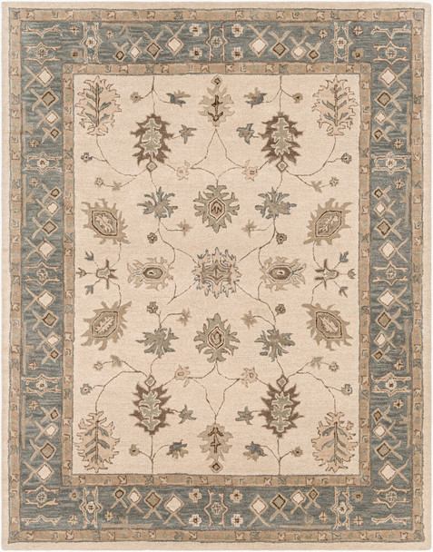 LivaBliss Middleton AWHR-2050 Rug