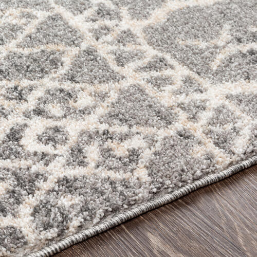 Livabliss Andorra ARD-2304 Rug