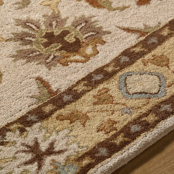 Caesar CAE-1010 Beige Tan Rug by Livabliss