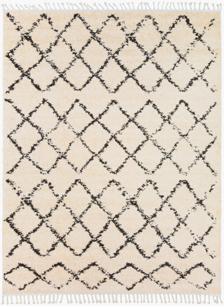 LivaBliss Berber Shag BBE-2300 Rug