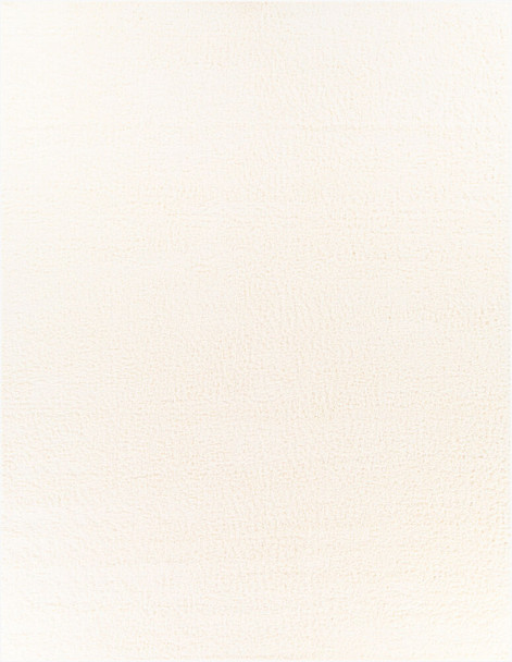 Livabliss Deluxe Shag DXS-2300 Area Rug