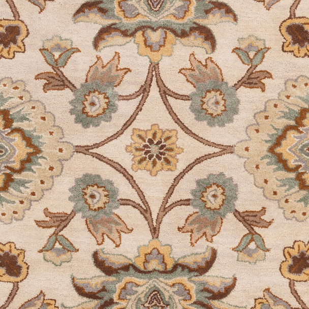 Caesar CAE-1012 Beige Gold Rug by LivaBliss