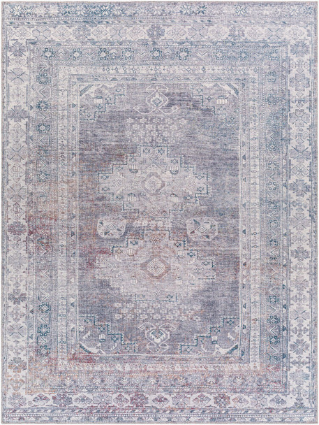 Livabliss Colin CLN-2304 Rug