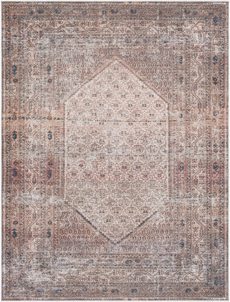 Livabliss Colin CLN-2312 Rug