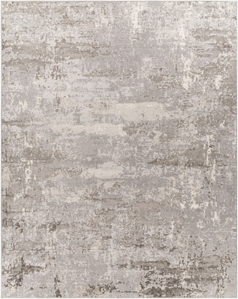 Livabliss Enfield ENF-2312 Rug