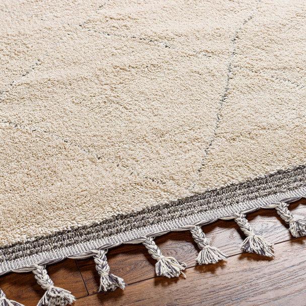Livabliss Sousse SUS-2304 Area Rug