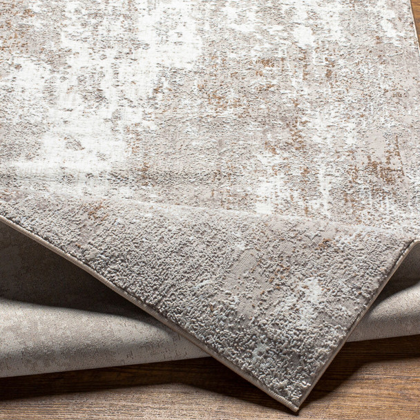 Livabliss Allegro ALG-2304 Rug