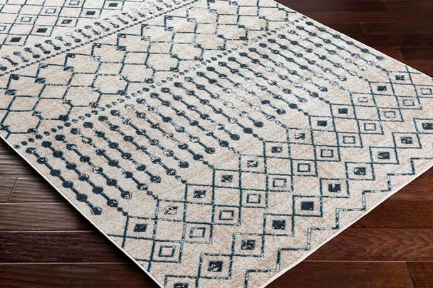 LivaBliss Lavadora LVR-2338 Area Rug