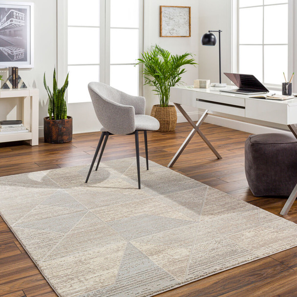 Livabliss Alder ALD-2310 Rug