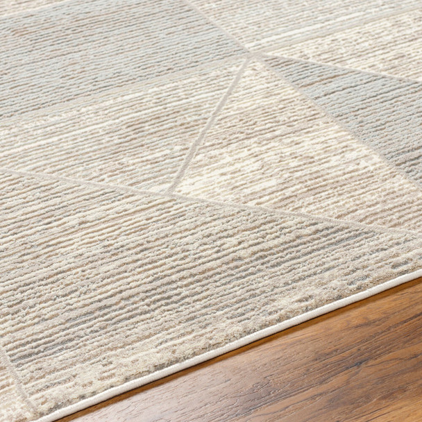 Livabliss Alder ALD-2310 Rug