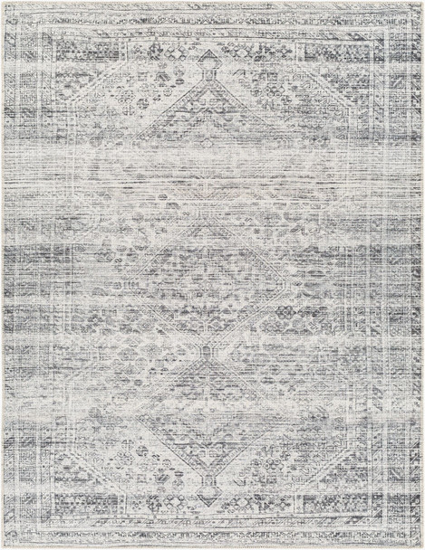 Livabliss Amelie AML-2381 Rug