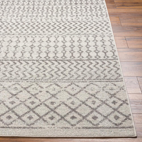 LivaBliss Elaziz ELZ-2369 Rug