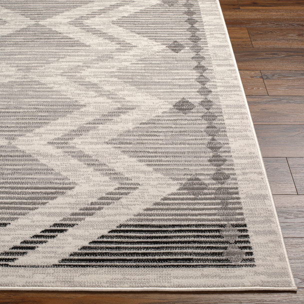 LivaBliss Pisa PSS-2353 Area Rug