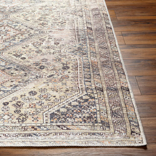 LivaBliss Amelie AML-2382 Rug