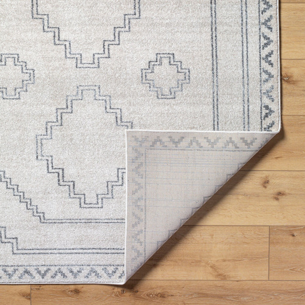 Livabliss Alpharetta APH-2306 Rug