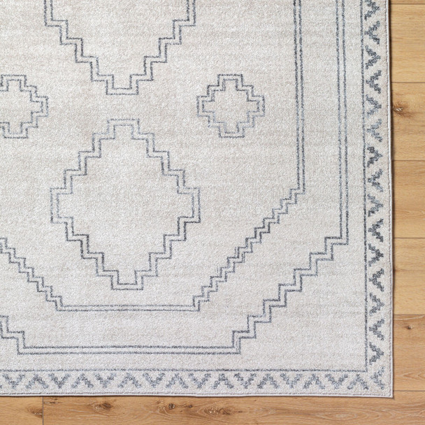 Livabliss Alpharetta APH-2306 Rug