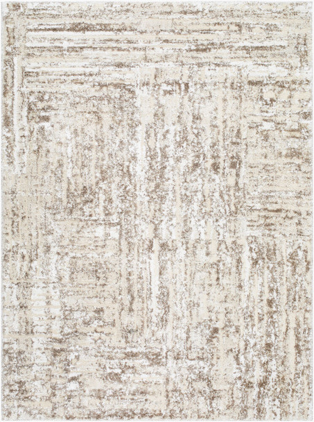 LivaBliss Andorra Plus ARP-2303 Rug