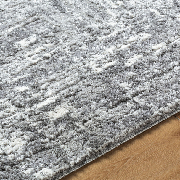 Livabliss Andorra Plus ARP-2304 Rug