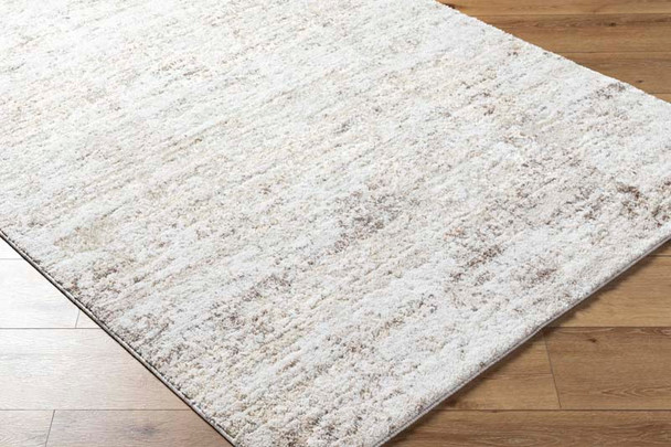 Livabliss Andorra Plus ARP-2305 Rug