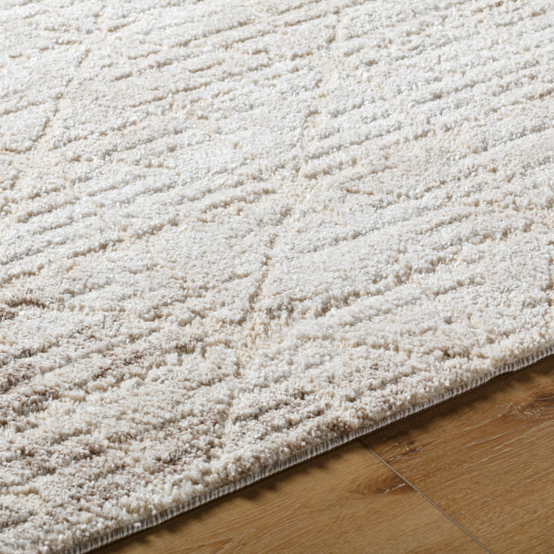 LivaBliss Andorra Plus ARP-2306 Rug