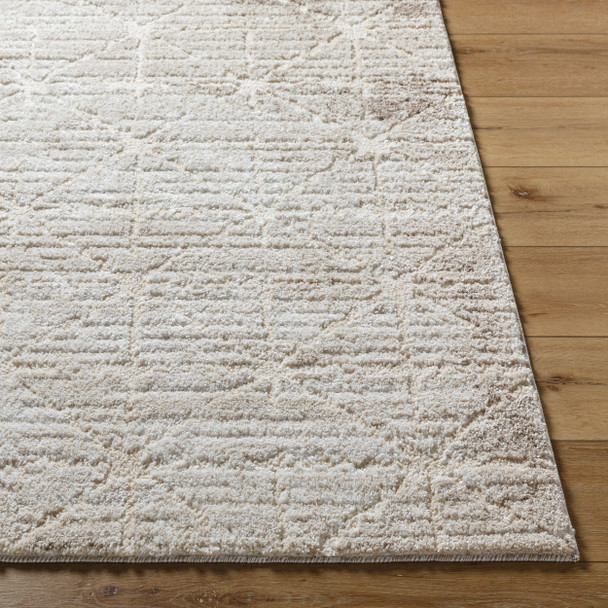LivaBliss Andorra Plus ARP-2306 Rug