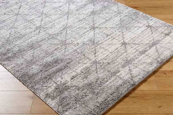 Livabliss Andorra Plus ARP-2307 Rug