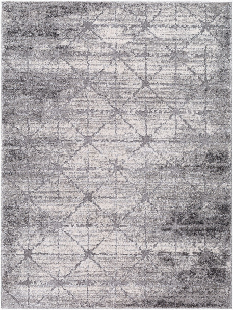 Livabliss Andorra Plus ARP-2307 Rug