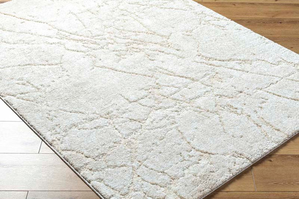 Livabliss Andorra Plus ARP-2312 Rug