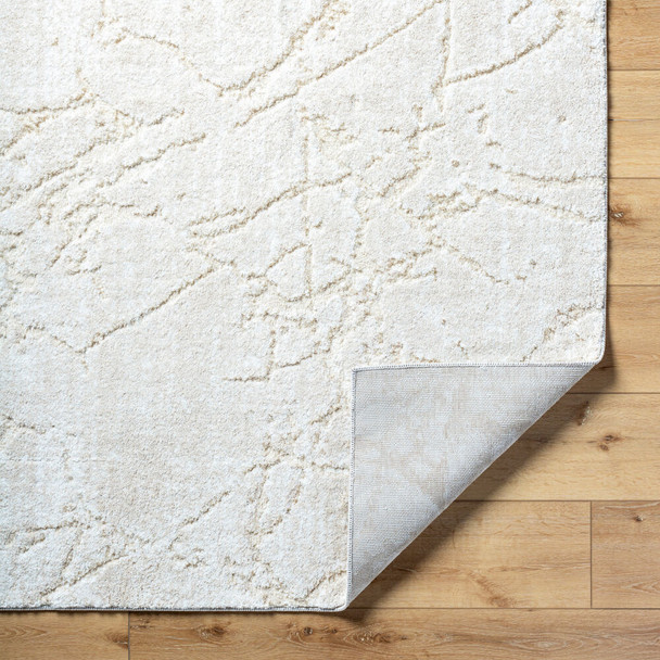 Livabliss Andorra Plus ARP-2312 Rug
