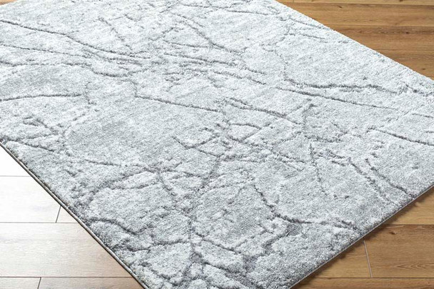 Livabliss Andorra Plus ARP-2313 Rug