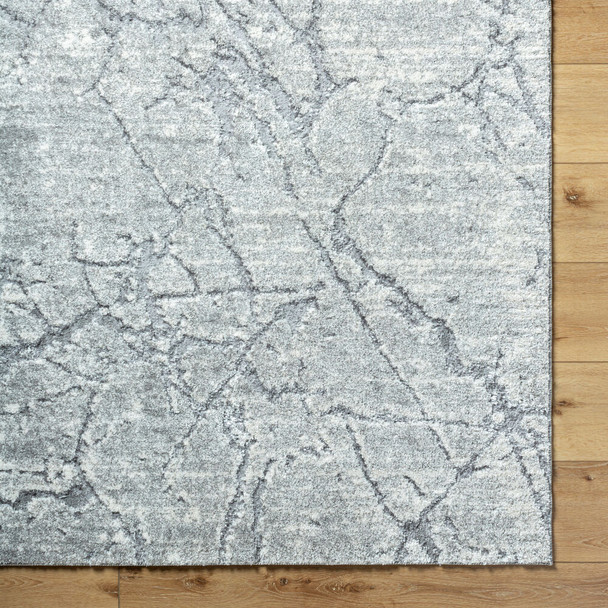 Livabliss Andorra Plus ARP-2313 Rug