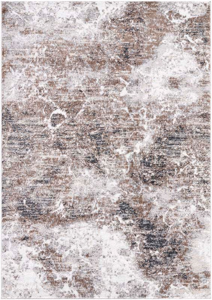 LivaBliss Andorra Plus ARP-2318 Rug
