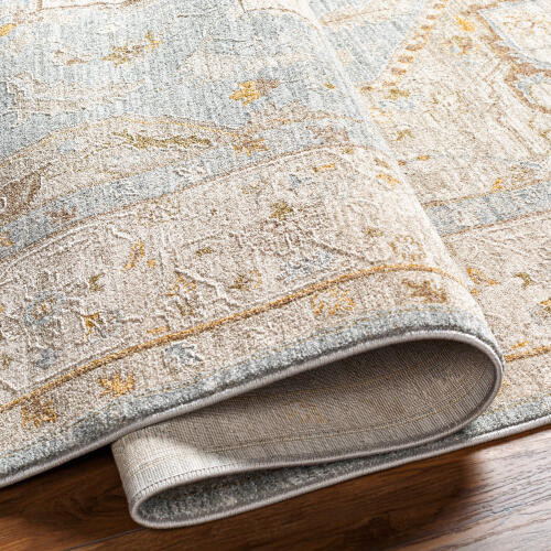 Livabliss Avant Garde AVT-2365 Rug