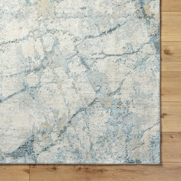 Livabliss Avellino AVL-2307 Rug