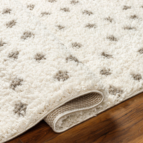 Livabliss Birmingham BMM-2302 Rug