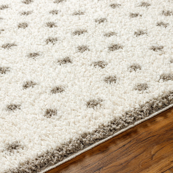 Livabliss Birmingham BMM-2302 Rug