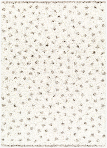 Livabliss Birmingham BMM-2302 Rug