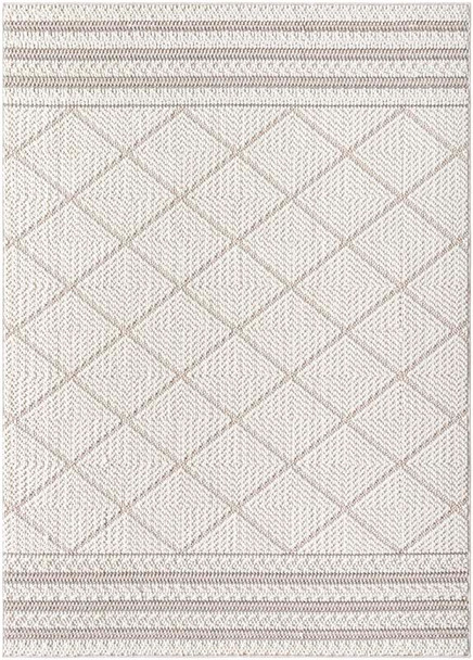 Livabliss Bouclair BCR-2305 Rug