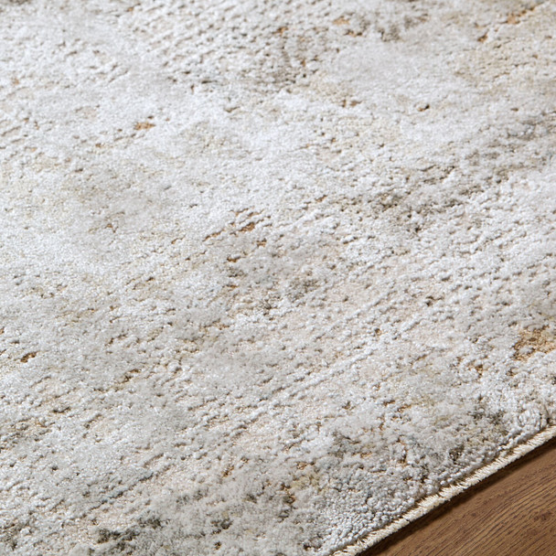 Livabliss Brunswick BWK-2346 Rug