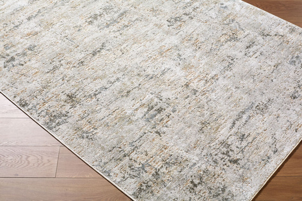 Livabliss Brunswick BWK-2350 Rug