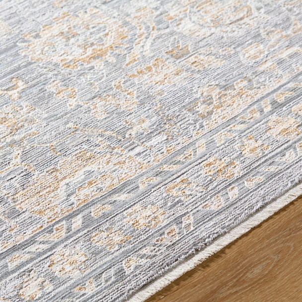 Livabliss Chapel Hill CHP-2302 Rug