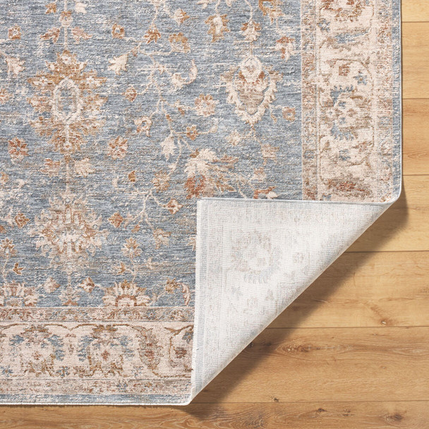 Livabliss Da Vinci DVC-2307 Rug