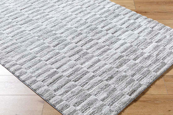 Livabliss Delight Shag DEL-2301 Rug