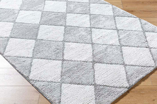 Livabliss Delight Shag DEL-2307 Rug