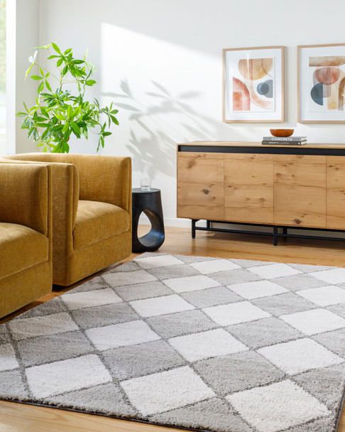 Livabliss Delight Shag DEL-2307 Rug